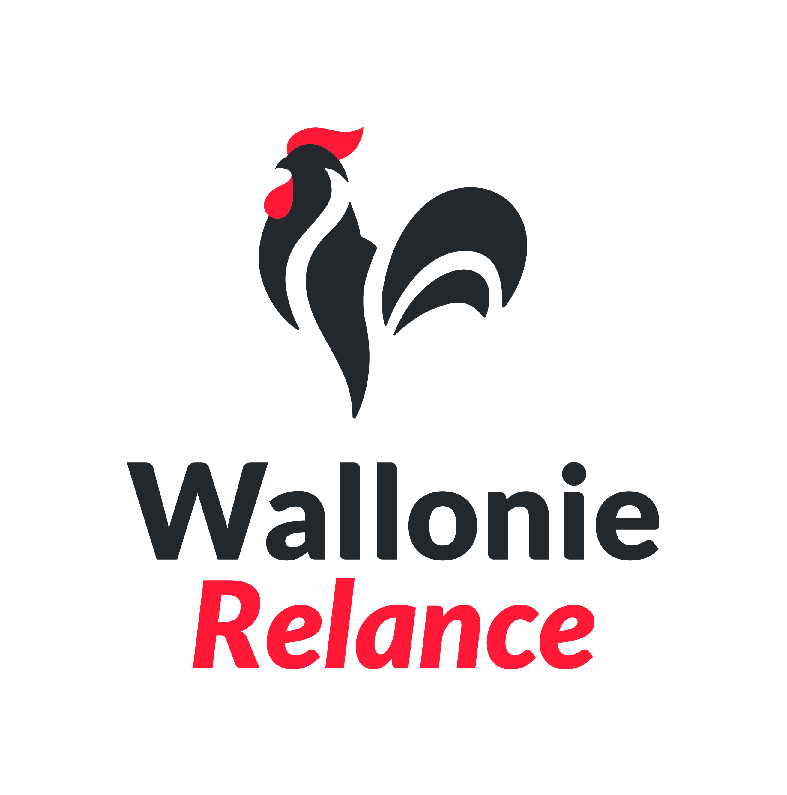 WR-complete-inblock-positif.jpg (Logo-Wallonie-PlanRelance)